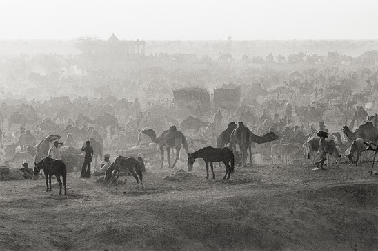 Torben Huss, “Camel Market.” Nagaur, Rajasthan, India, ’60s